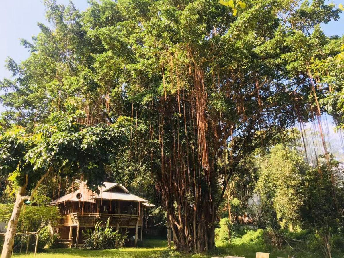 Golden Hut -Chill Bungalows In Town黄金泰式传统独栋小屋 Пай Екстер'єр фото